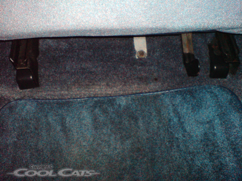 Cougar Seat Belt Removal